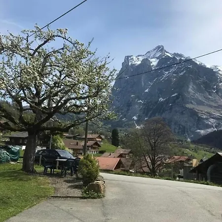 Appartement Beim Faulensee 2-bett 1 Stock West Grindelwald