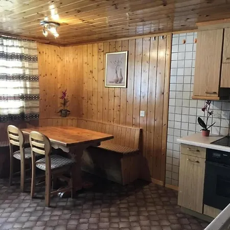 Beim Faulensee 2-bett 1 Stock West Appartement Grindelwald
